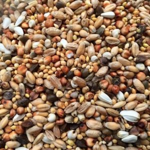 Strooivoer voor buitenvogels