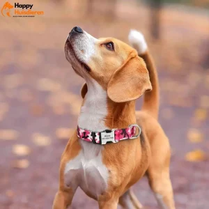 Gepersonaliseerde nylon halsband met snelsluiting. Duurzaam verstelbaar ontwerp voor veiligheid en comfort