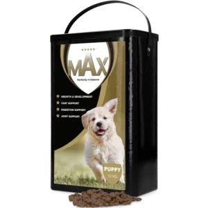 Max – Puppy brok