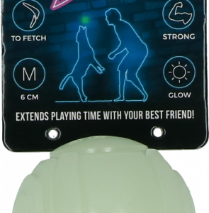 2 Glow Fetch And Catch