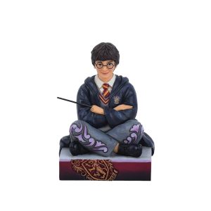 Harry Potter De Uitverkorene
