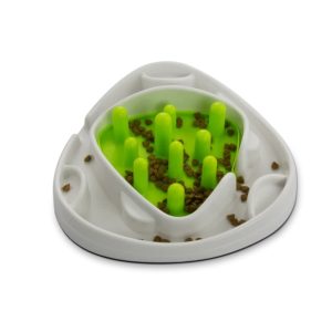 Slow Feeder – Food Maze