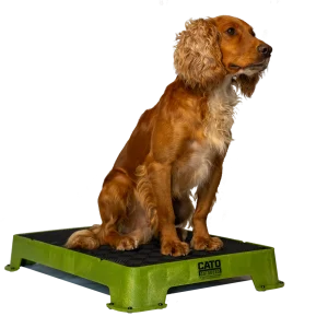 Cato Training Place Board