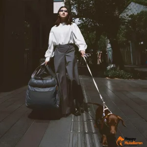 Autobed voor huisdieren | Luxe autostoelverhoger voor honden voor veilig reizen