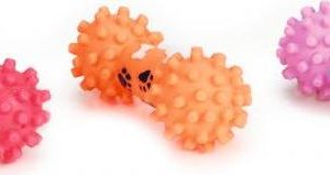 Beeztees Halter+Stekelballen – Hondenspeelgoed – Vinyl – 17 cm