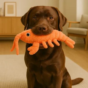 ChaseLoop | Automatisch huisdierspeeltje voor actief en blij gedrag