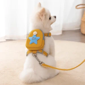 WalkEase | Hondenriem met slimme opbergruimte voor georganiseerde wandelingen