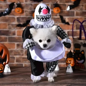 Honden Halloweenkostuum | Grappig en griezelig kostuum voor middelgrote huisdieren
