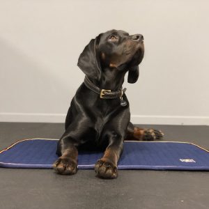 Bucas Recuptex Bed Topper