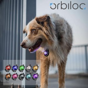 Orbiloc Dog dual