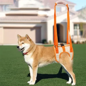 Helix | Herstelharnas voor honden met verminderde mobiliteit