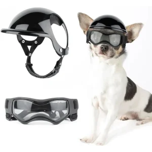 MotoPaw Hondenset | Helm en Beschermende Bril voor Kleine Honden op de Motor