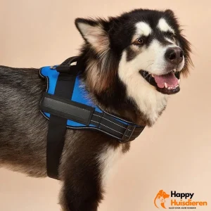 PawControl | Verstelbaar anti-trektuig voor honden