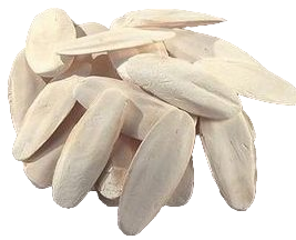 Sepia schelp – diverse maten