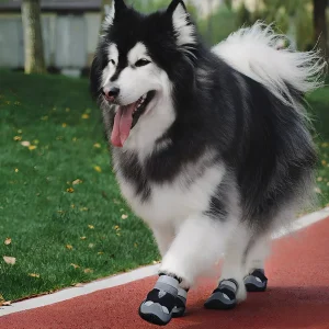 PootGrip Schoentjes | Beschermende Antislip Hondenschoenen voor Wandelen