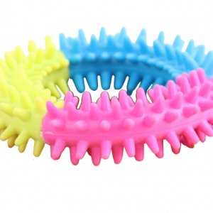 Rainbow World – Coronule L