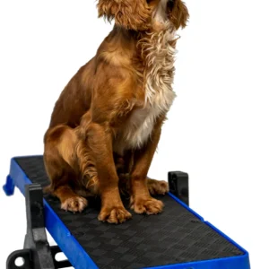 Cato Trainings Board LONG