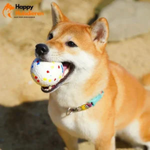 ToughBall | Duurzame Kauwbal voor Honden – Veilig & Tandverzorgend