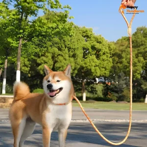 Veiligheidslijn Krachtig | Explosiebestendige Nylon Hondriem zonder Trekken