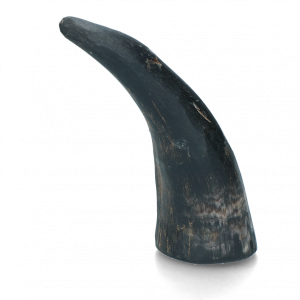 Viking Whole Horn L