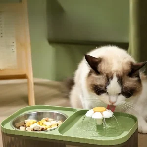 AquaFeest Schaal | Drinkbak & Voerbak met Stromend Water voor Katten en Kleine Honden