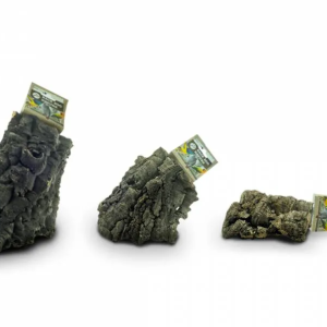 Back Zoo Nature – Corky chew div. maten