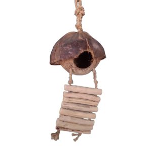 Deluxe – Cozy Coconut