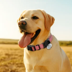 LichtPuntje Band | Reflecterende halsband met GPS AirTag houder voor veiligheid