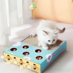 Mol Slag Kermis | Interactief Speelgoed en Krabplank in Eén