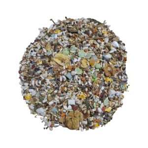 BYoshi – Papegaaien mix