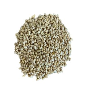 BYoshi – Pijnboompitten