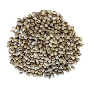 BYoshi – Pistache in dop