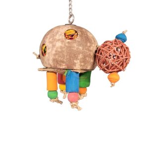 Deluxe – Coconut Turtle