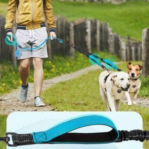 Twee-in-één Hondenleder | 360° Klitvrije & Reflecterend voor Veiligheid